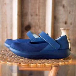 Alegria Shoe Store -Alegria Shoe Store 0000 OLI 103 1