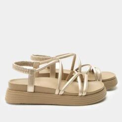 Audie Champagne Sandal 11 Audie Champagne Sandal -Alegria Shoe Store ADE 6507 S2 5ace87cf 86c7 43dd b239 8515e09a0be9