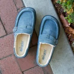 Shoes Brigid Cinder Clog -Alegria Shoe Store BRI 6395 S1X