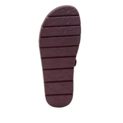 Henna Plum Sandal -Alegria Shoe Store HEN 7433 S5