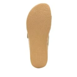 Mena Sea Foam Sandal -Alegria Shoe Store MEN 7440 S5 ff4fc968 418f 4b29 bb67 3d14d286e9ee