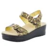Morgyn Pretty Things Sandal 1 Morgyn Pretty Things Sandal -Alegria Shoe Store MOR 677 S1