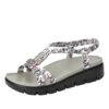 Roz Lovely Grey Sandal 2 Roz Lovely Grey Sandal -Alegria Shoe Store ROZ 7552 S1 2dafba3e c004 4856 b23d 393a680c7bdd