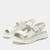 Sandie Shell Sandal -Alegria Shoe Store SDI 6206 S1