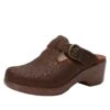 Shoes Selina Tawny Delicut Shoe 2 Shoes Selina Tawny Delicut Shoe -Alegria Shoe Store SEL 7608 S1