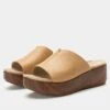 Triniti Fawn Sandal 1 Triniti Fawn Sandal -Alegria Shoe Store TRI 6105 S1 c13d13e3 d15d 43d3 a2c3 684657d5ba26