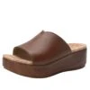 Triniti Clay Sandal -Alegria Shoe Store TRI 7407 S1