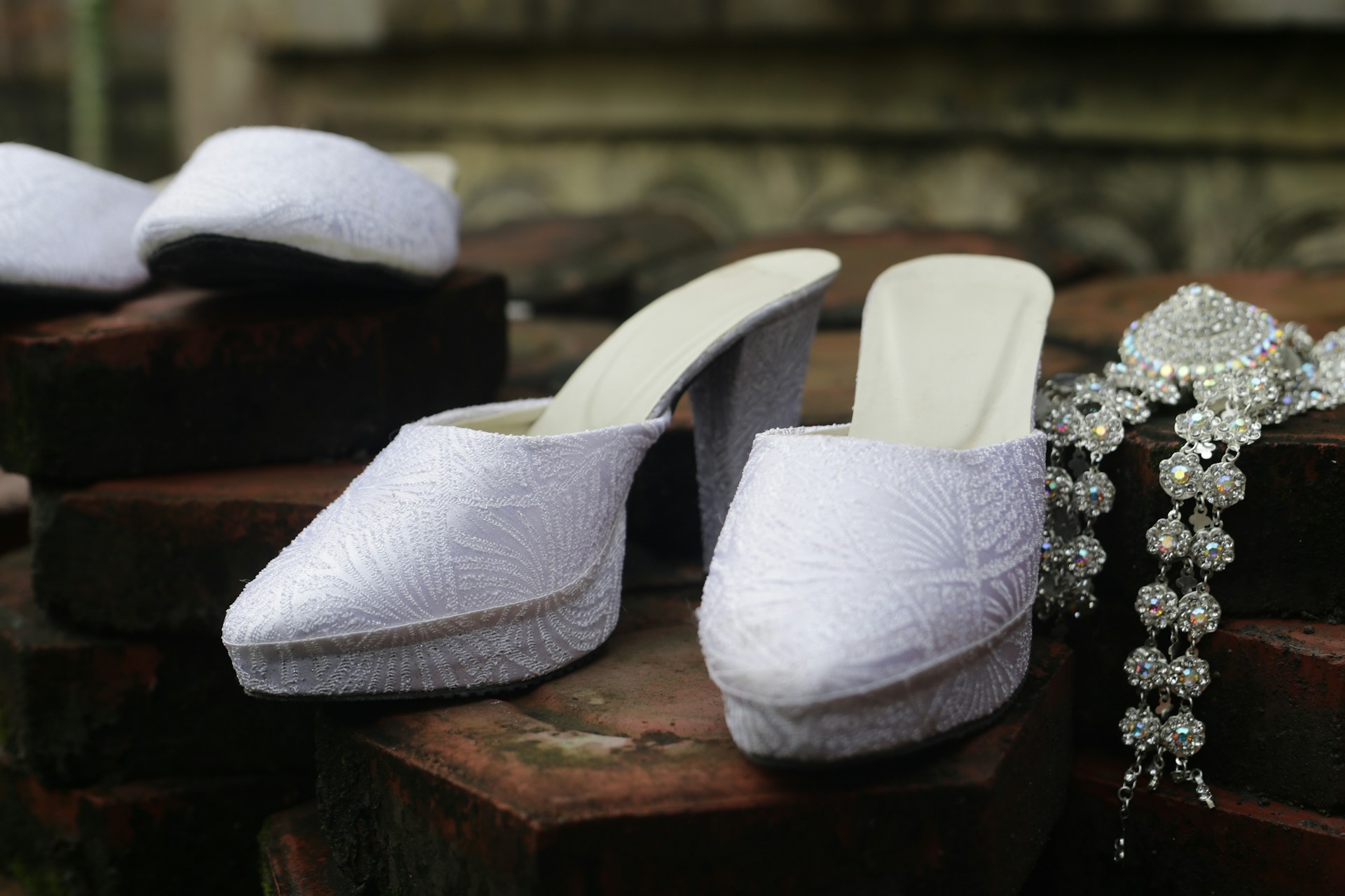 Alegria Shoe Store -Alegria Shoe Store ike ellyana Mb wTTGgNCw unsplash